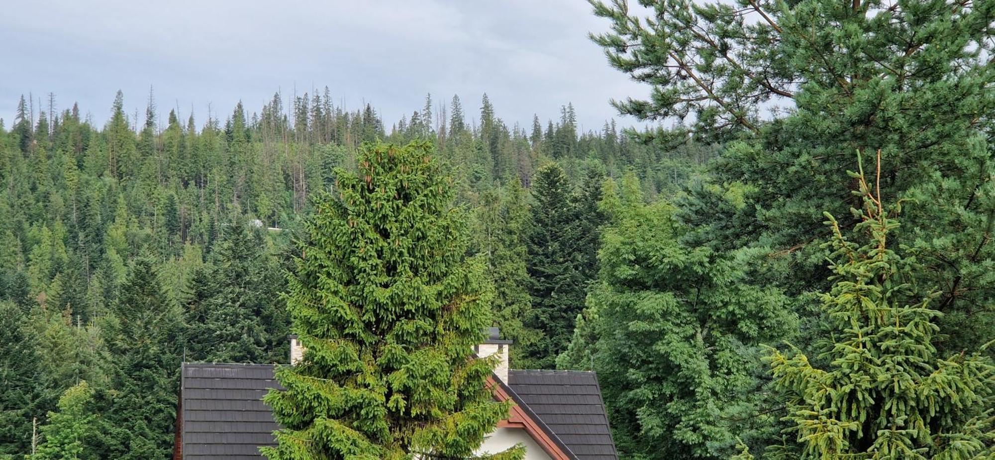 Apartamenty Pod Limba Zakopane Exterior photo