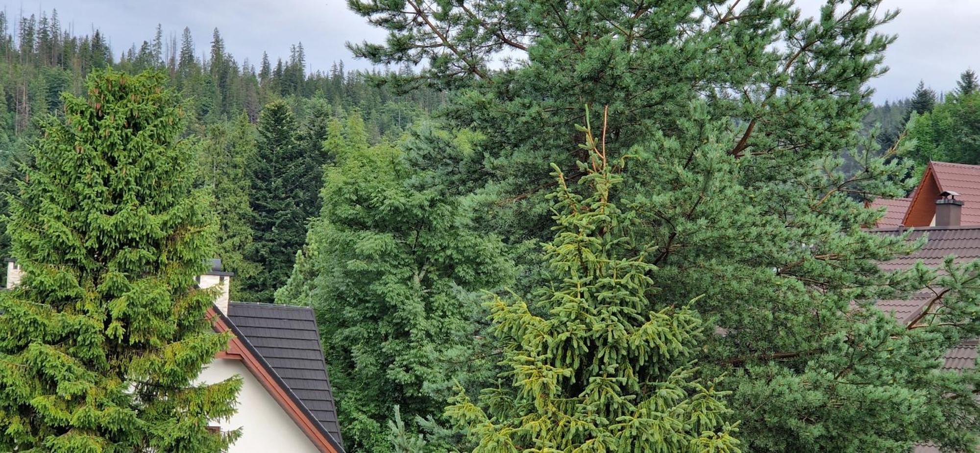 Apartamenty Pod Limba Zakopane Exterior photo